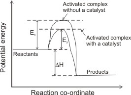 catalyst and activation energy