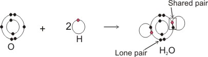 covalent bonding in water molecule