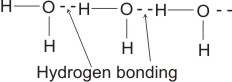 hydrogen bonding4